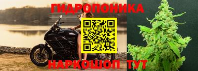 эйфоретик Будённовск