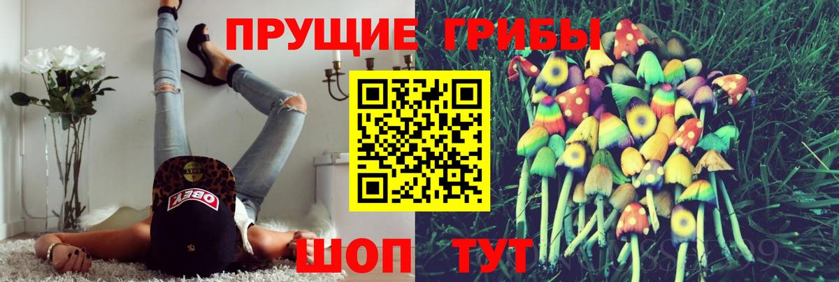 Псилоцибиновые грибы Magic Shrooms  Вход с VPN  Электрогорск 